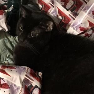 Meet your Posher, Pam